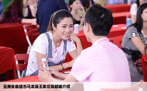 云南省曲靖市馬龍縣王家莊鎮郵編介紹