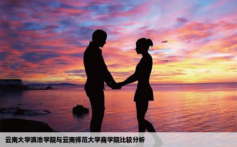 云南大學(xué)滇池學(xué)院與云南師范大學(xué)商學(xué)院比較分析