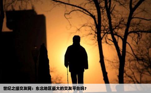 世紀之緣交友網：東北地區最大的交友平臺嗎？